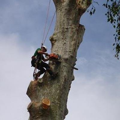 Divers travaux - Photo 15