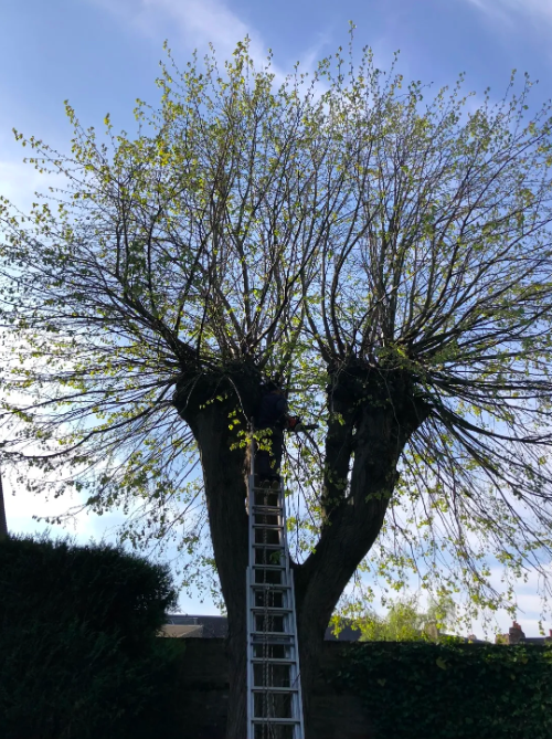 Divers travaux - Photo 7