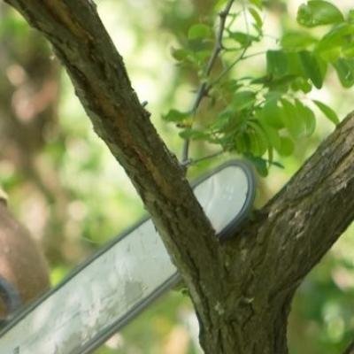 Jardinier paysagiste Divers travaux 80340