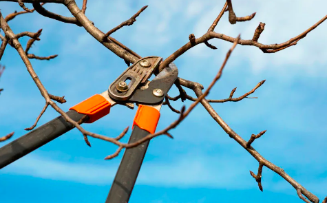 Divers travaux - Photo 8