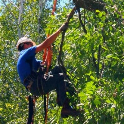 Divers travaux - Photo 11