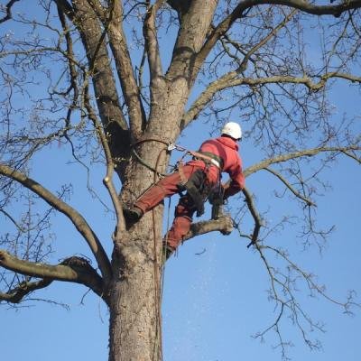 Divers travaux - Photo 17