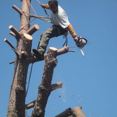 Divers travaux - Photo 13