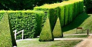 Divers travaux - Photo 5