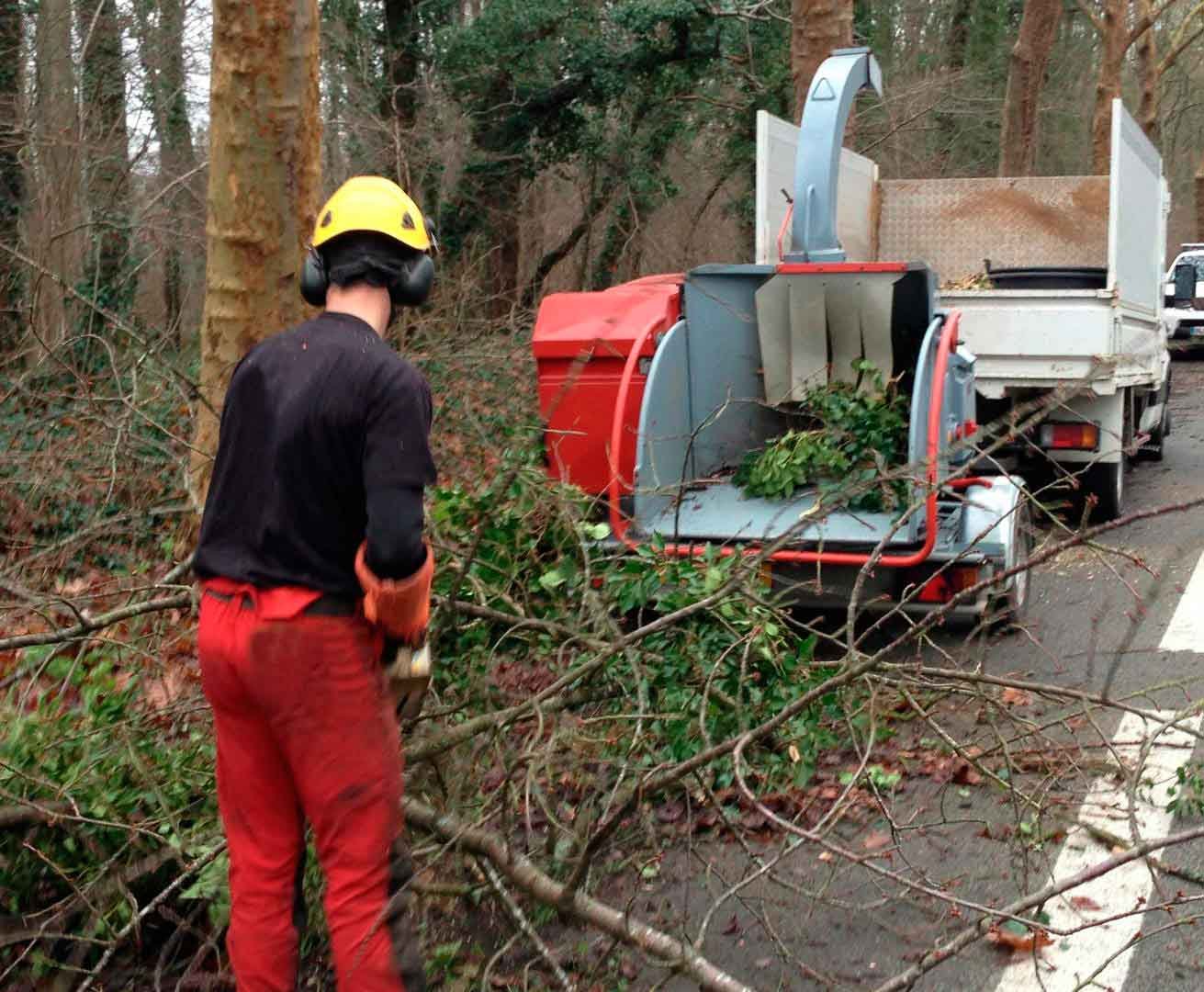Évacuation et Broyage des Végétaux à Mareuil-Caubert